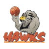 Bay Hawks