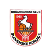 KK Slovenske Konjice