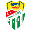 Bursa