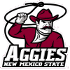 New Mexico State
