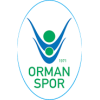 OGM Ormanspor