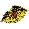 Black Eagles