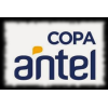 Copa Antel