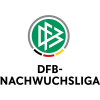 Giải trẻ DFB