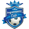 Ingwenyama Cup
