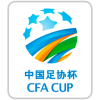 中国足协杯