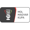 Hungarian Cup