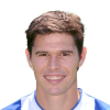 N. Zigic