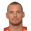 W. Sneijder