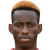 L. Goudiaby