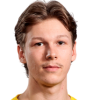 S. Heiskanen