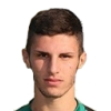 L. Benucci