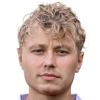 N. Leemhuis