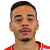F. P. Tiago Silva