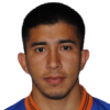 L. Ibarra