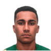 Bruninho