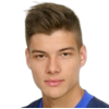 A. Vrljicak