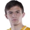 V. Shvyrev