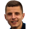 N. Hadzic