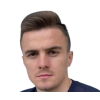 M. Zulj