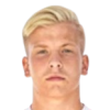 Player avatar