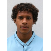 R. A. Onate Zambrano