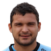 P. Gonzalez