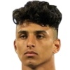 A. E. Abdallah