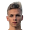 M. Roos