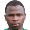 N. Ngwenya