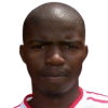 P. Dlamini