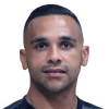 M. Novaes