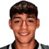 G. Trindade