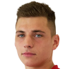 D. Wersig