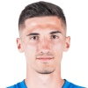 E. Ibisevic