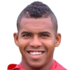 F. A. Garcia Ibarguen