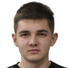 M. Strelnik