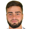 N. Petrosyan
