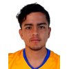 C. Leal