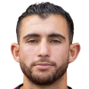 N. Haddadi