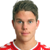 K. Kalve Skogen
