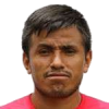 V. Pena