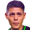 C. Canales
