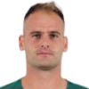 F. Raicevic