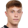 D. Ankudinov