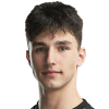 I. Simakovic
