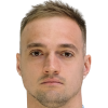 V. Krivitskiy