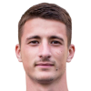 D. Mitrovic