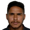 D. E. dos Santos Rocha