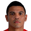 W. de Araujo Delfino